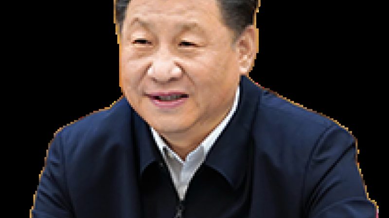 化学助剂安全使用：规范、价格与选购要点